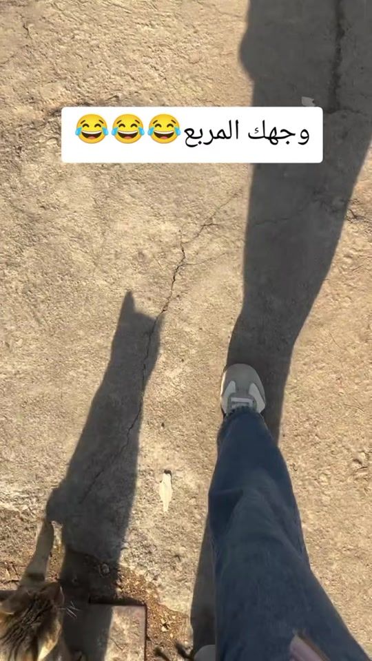 TikTok video thumbnail by user455077886