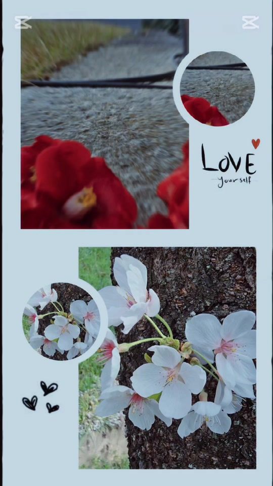 TikTok video thumbnail by k5340808