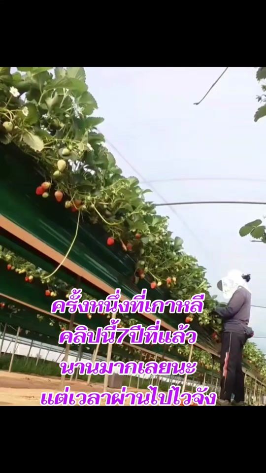 TikTok video thumbnail by fbkungnathaphanjuansang
