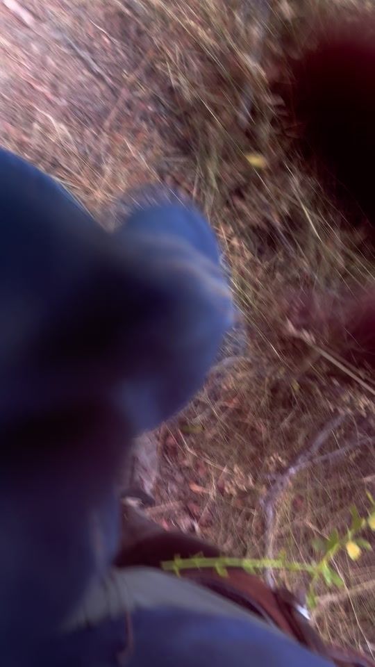 TikTok video thumbnail by mitchel1995