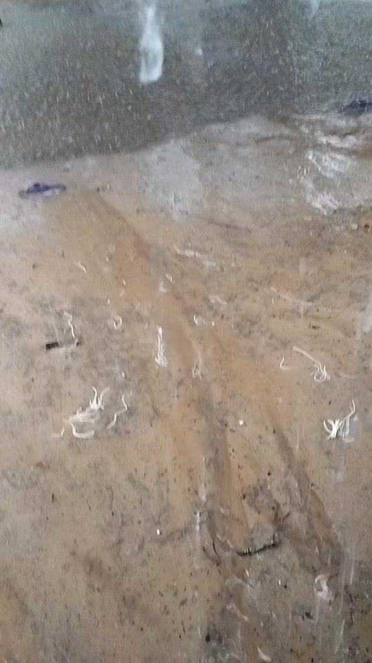 TikTok video thumbnail by dhames..tiran