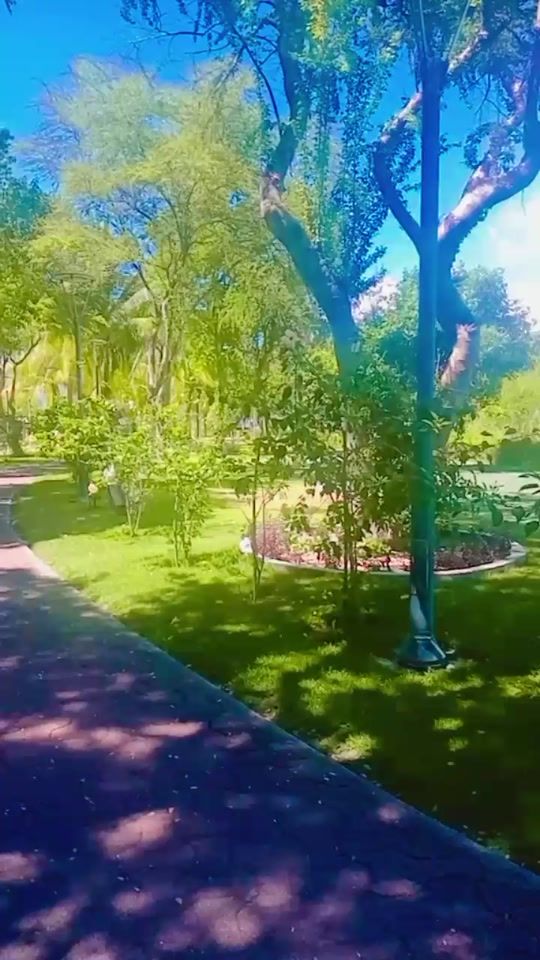 TikTok video thumbnail by innaam8