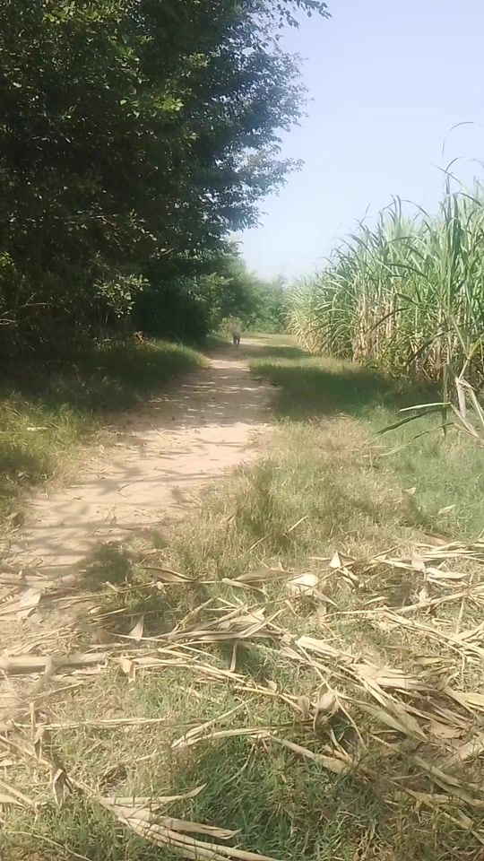 TikTok video thumbnail by malik.mavi33