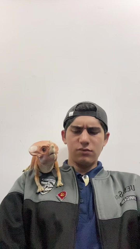 TikTok video thumbnail by alanindoraptor