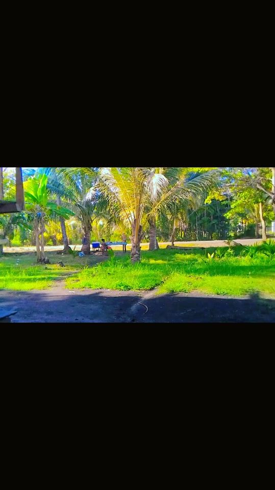 TikTok video thumbnail by halfkhas2