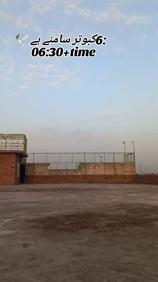 TikTok video thumbnail by sohailsahil3