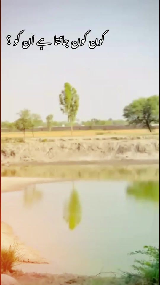 TikTok video thumbnail by hamzabrand215