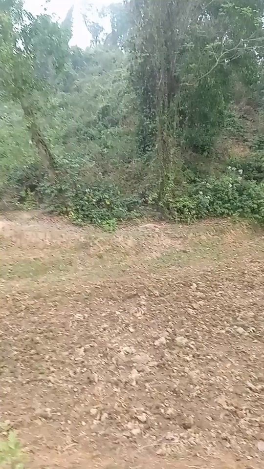 TikTok video thumbnail by subuj536