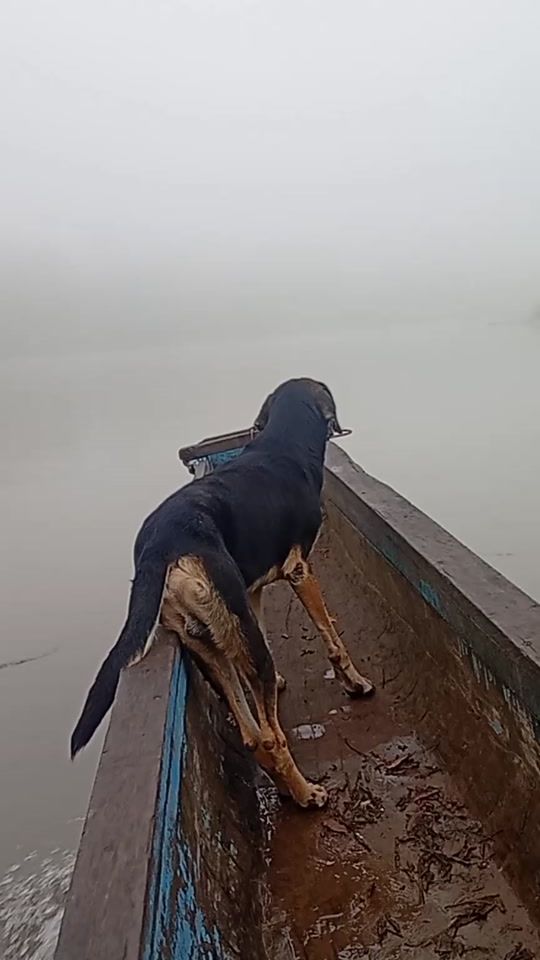 TikTok video thumbnail by ibran.rodrguez