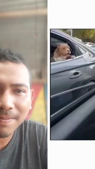 TikTok video thumbnail by punyadude_07