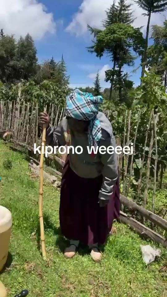 TikTok video thumbnail by raellimo7