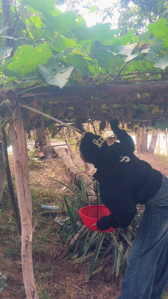 TikTok video thumbnail by user8362969912464