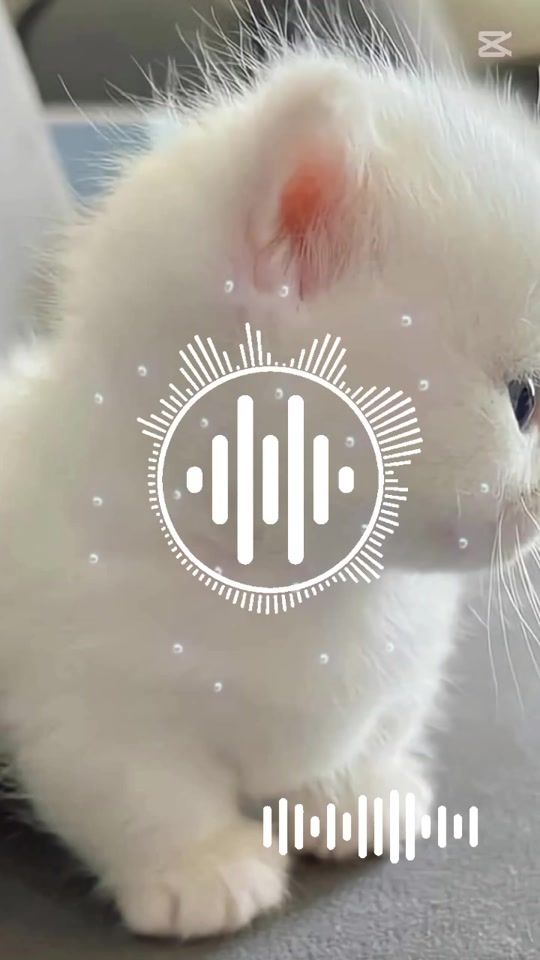 TikTok video thumbnail by irenecabrera5