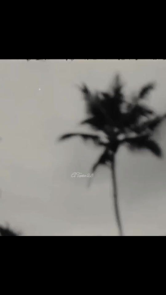 TikTok video thumbnail by el.toxico23lpf