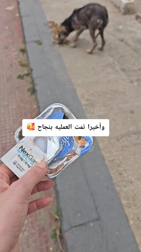 TikTok video thumbnail by ninafadel