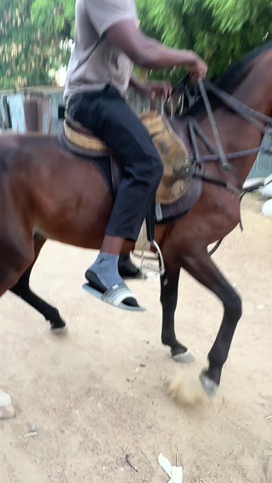 TikTok video thumbnail by usman__germany