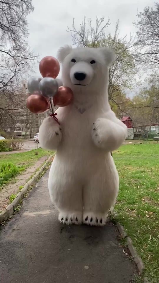 TikTok video thumbnail by mee_mishka_4e