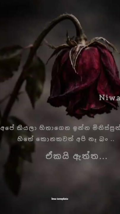 TikTok video thumbnail by chethananethu