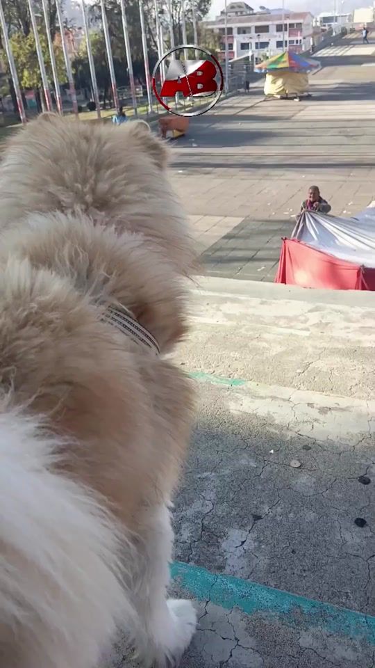 TikTok video thumbnail by trueno775
