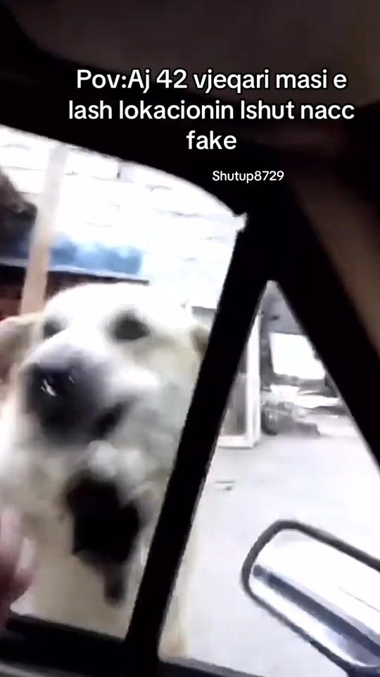 TikTok video thumbnail by shutup8729