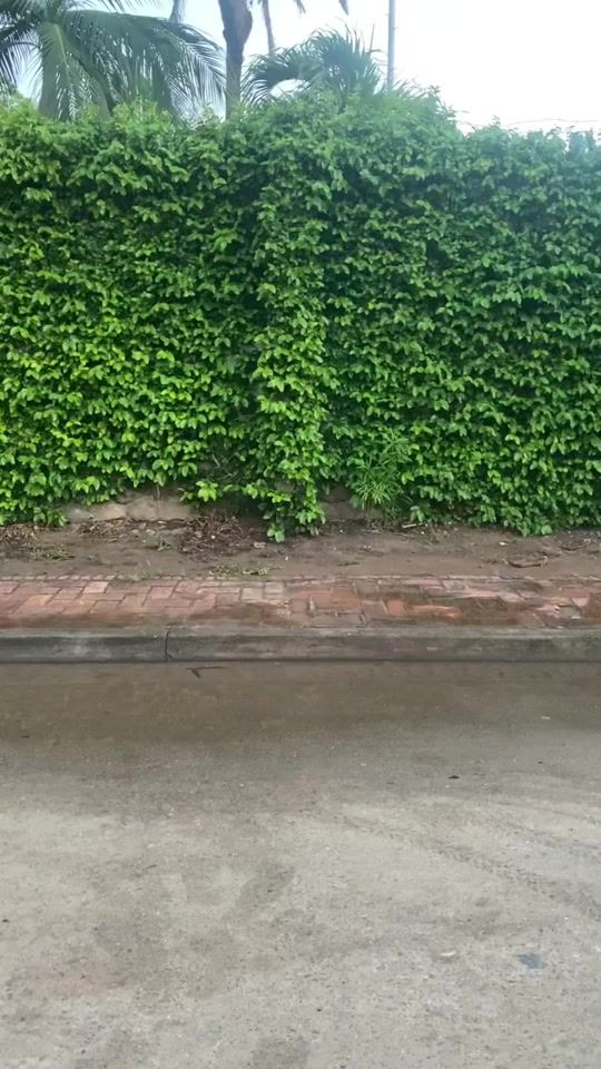 TikTok video thumbnail by woba_lob