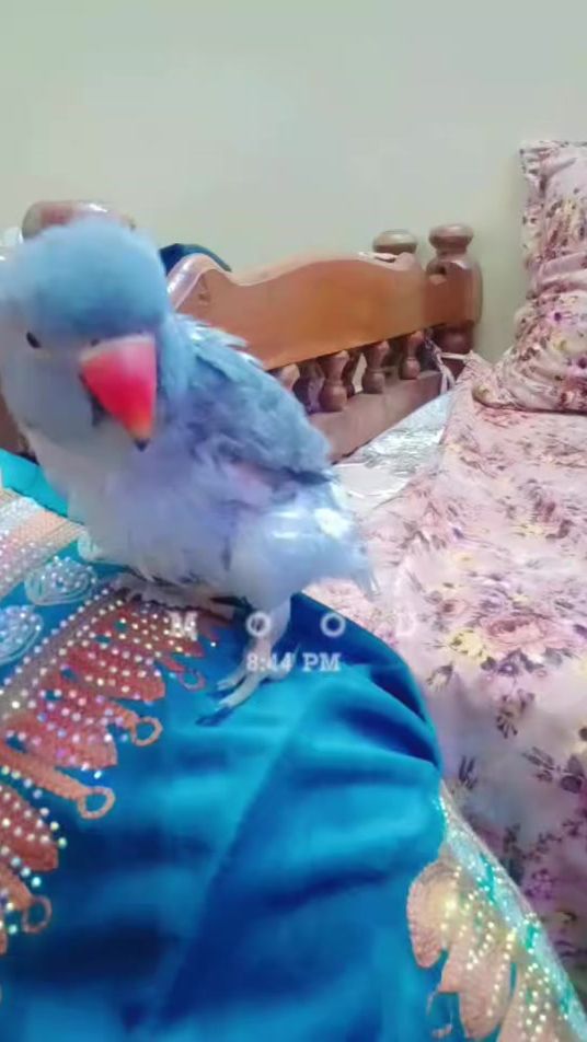 TikTok video thumbnail by rsth_167qgzi