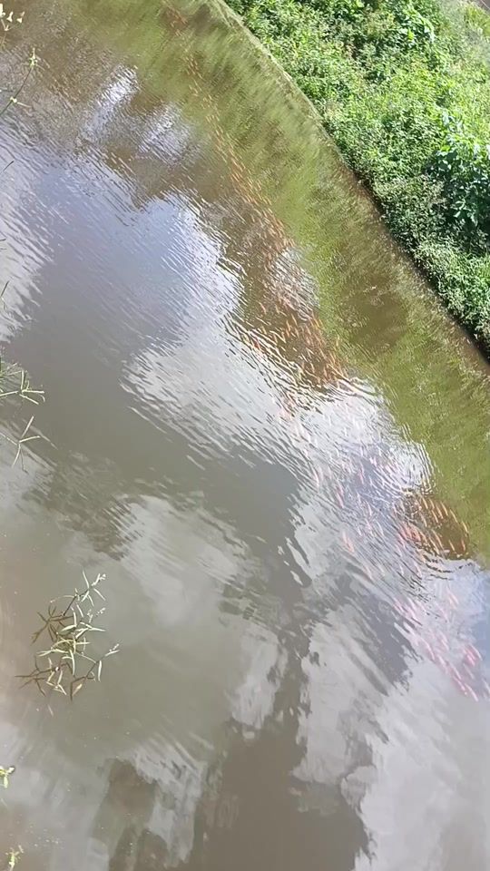 TikTok video thumbnail by user9756549496