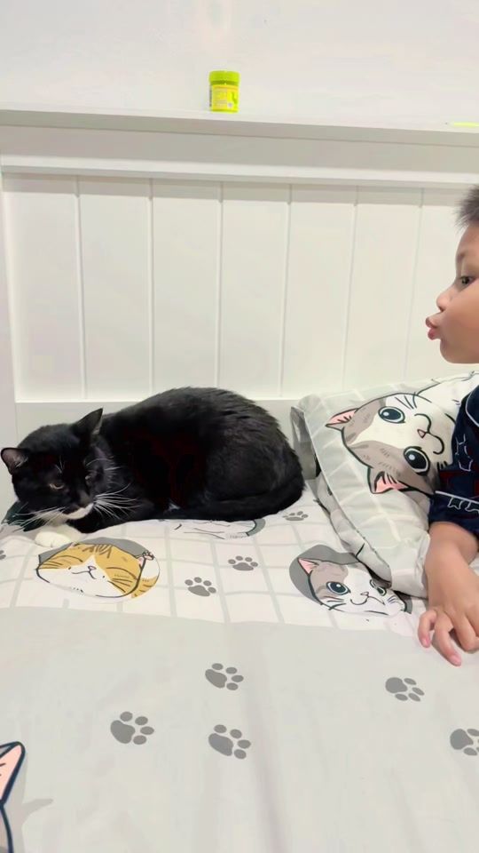 TikTok video thumbnail by lateemawpee