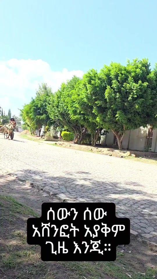 TikTok video thumbnail by dani_hanter