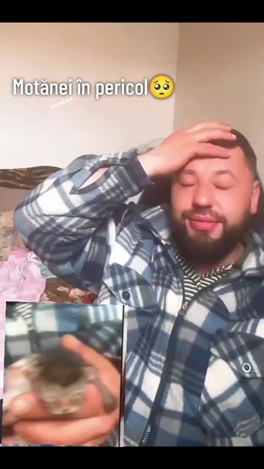 TikTok video thumbnail by morena.1.1