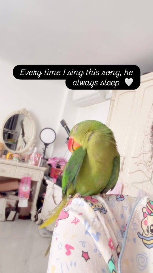 TikTok video thumbnail by premachanofficial