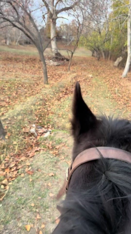 TikTok video thumbnail by eldaniz_baykal