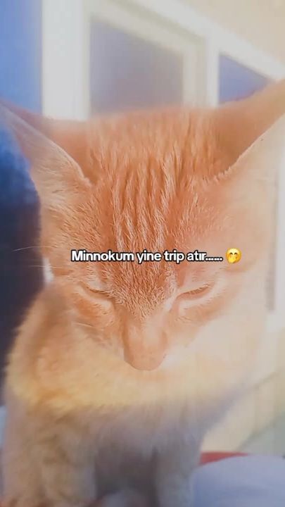 TikTok video thumbnail by _.qurban._o13