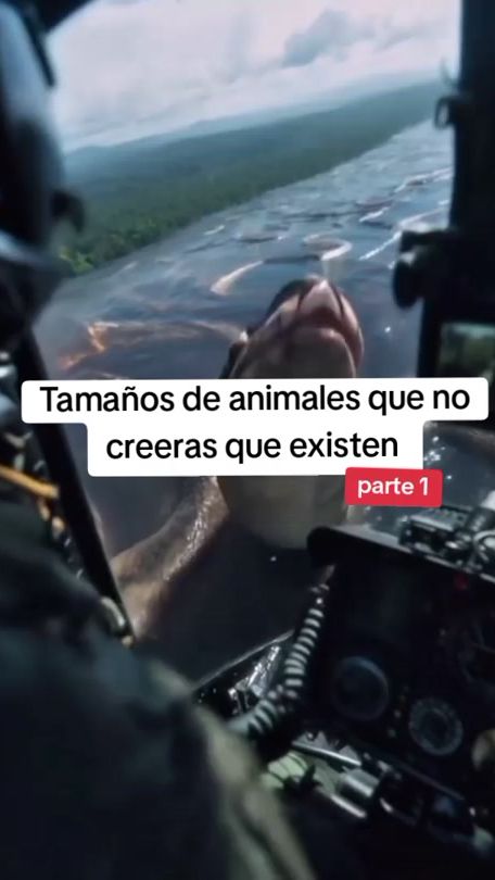 TikTok video thumbnail by humberto13_oficial