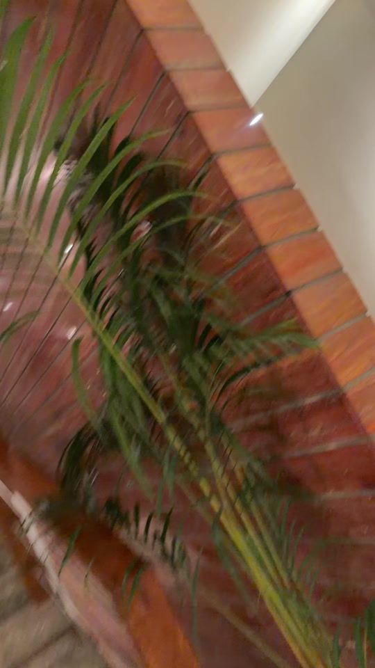 TikTok video thumbnail by mithila.rahman1