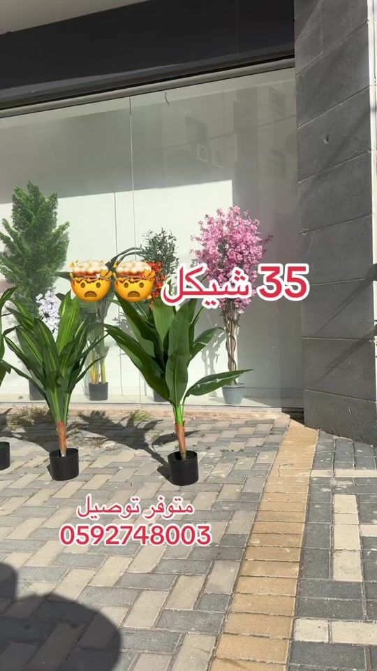 TikTok video thumbnail by chic_home77