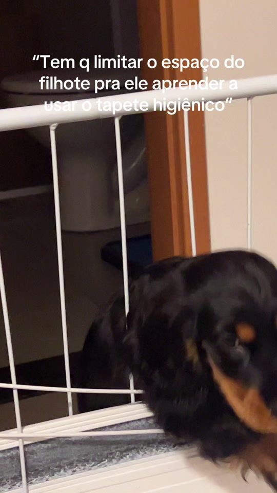 TikTok video thumbnail by the.daniiii