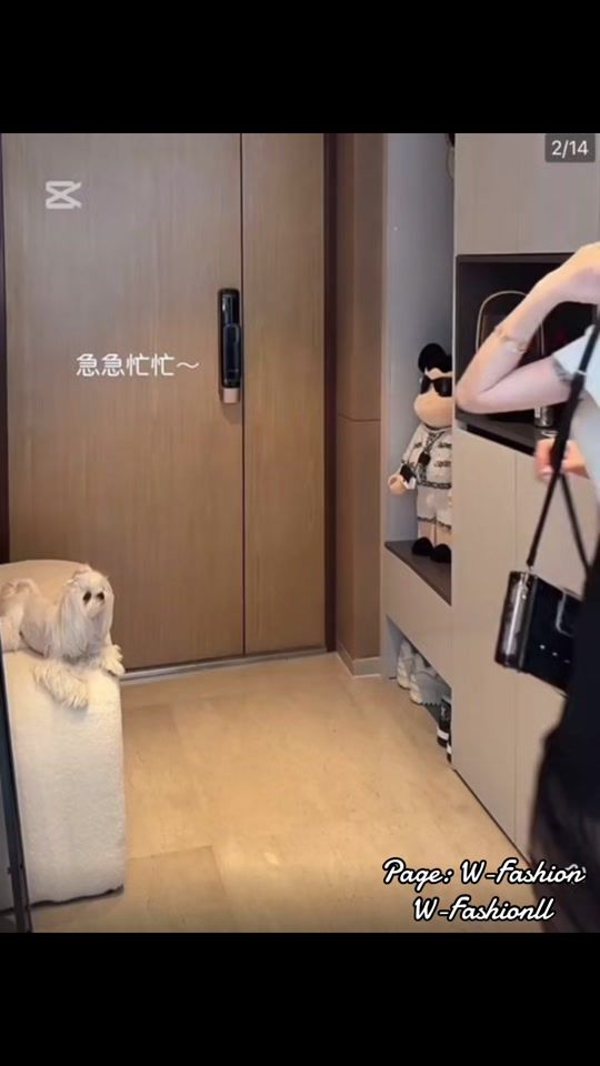 TikTok video thumbnail by w_fashion1
