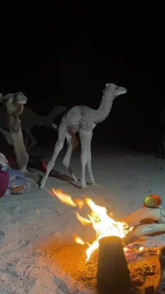 TikTok video thumbnail by frre738