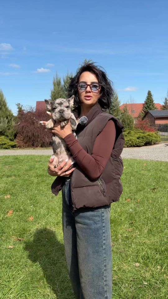 TikTok video thumbnail by bulldoghappy