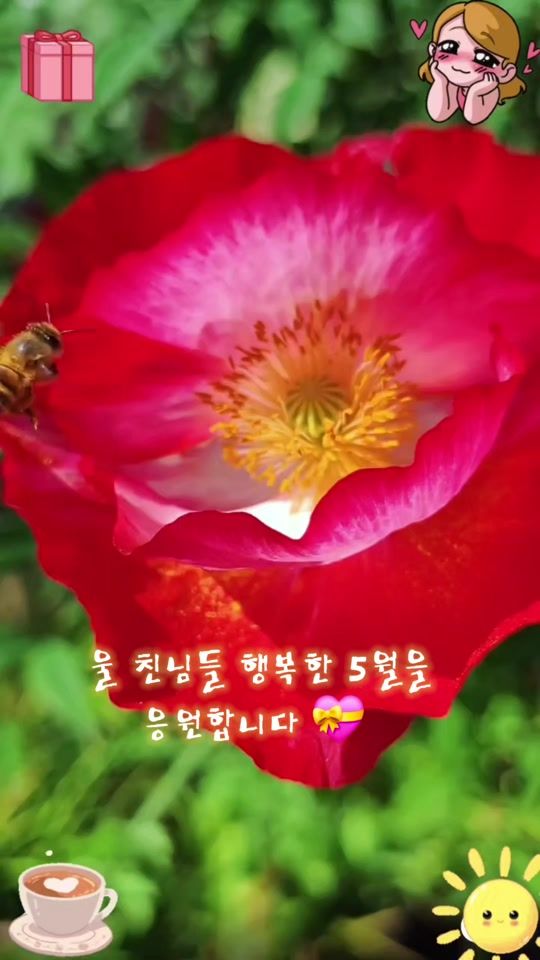 TikTok video thumbnail by cy0783