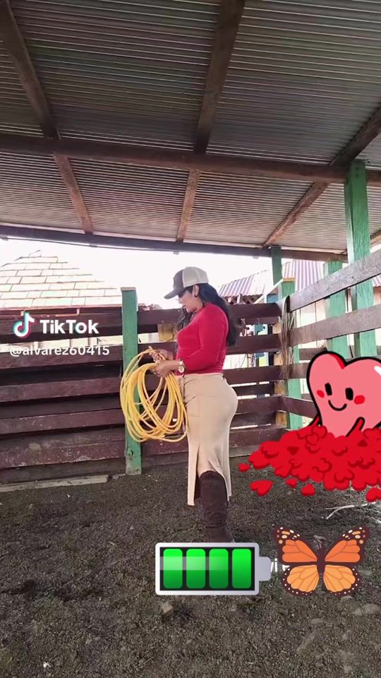 TikTok video thumbnail by florsilvestre25