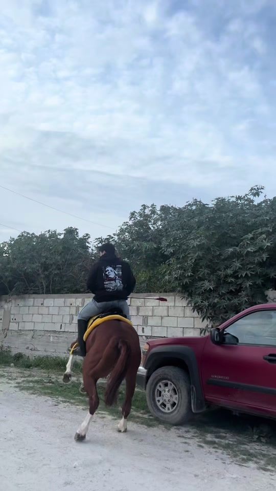 TikTok video thumbnail by alaa_ad76