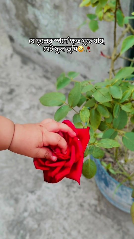 TikTok video thumbnail by tushika41