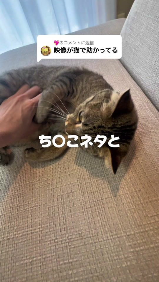 TikTok video thumbnail by nivo2_