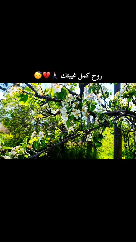 TikTok video thumbnail by 22._._._._505