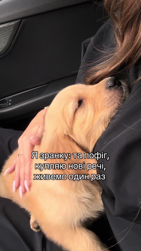 TikTok video thumbnail by vlorris