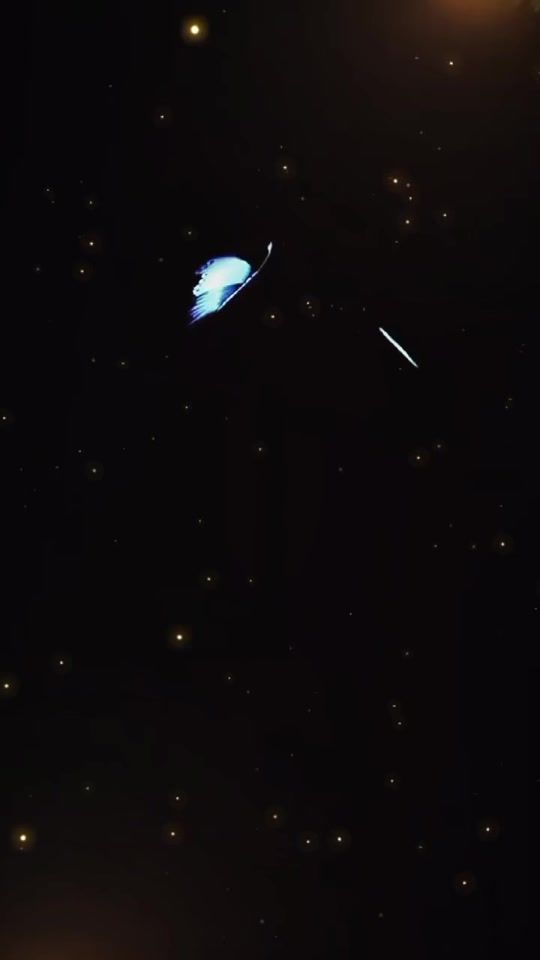 TikTok video thumbnail by 2melissa36