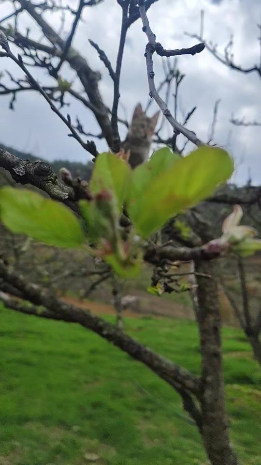 TikTok video thumbnail by kidsfuntime7