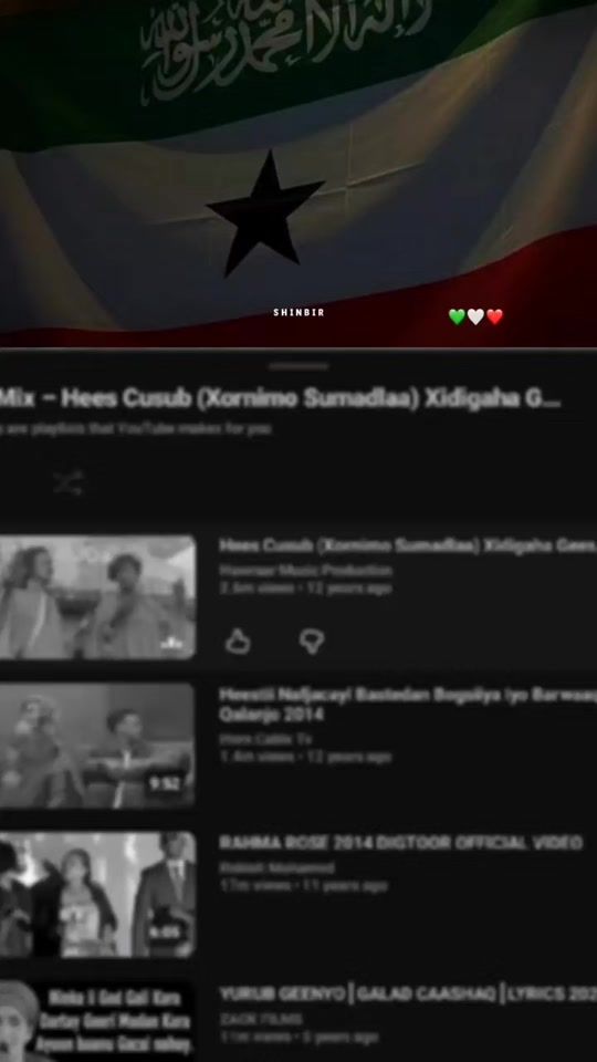 TikTok video thumbnail by shinbir_lyrics